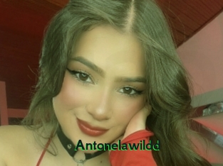 Antonelawildd