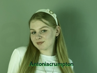 antoniacrumpton Arabeurette