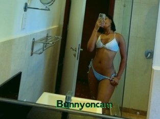 Bunnyoncam
