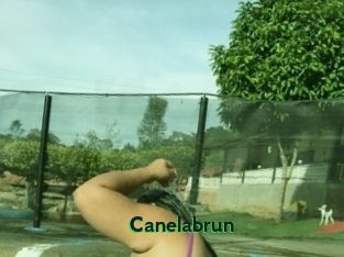 Canelabrun
