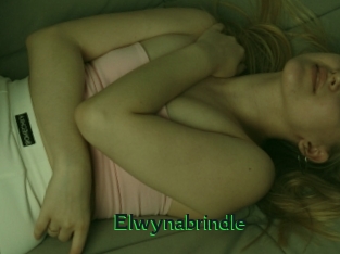 Elwynabrindle