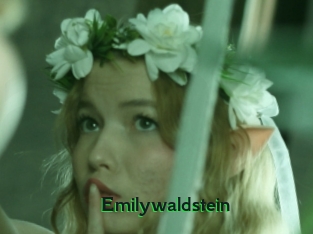 Emilywaldstein