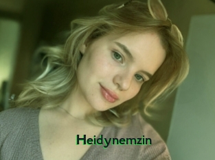 Heidynemzin
