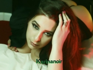 Karinanoir