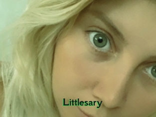 Littlesary