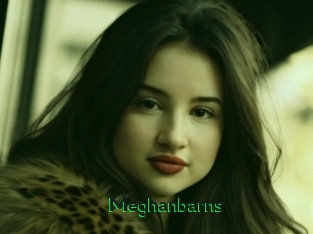 Meghanbarns