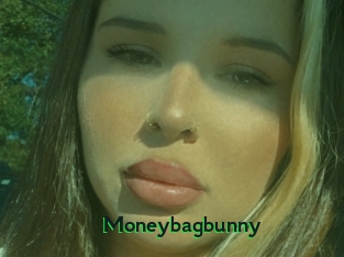 Moneybagbunny