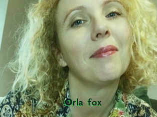 Orla_fox