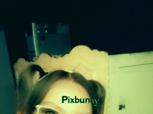 Pixbunny