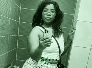 Sebina
