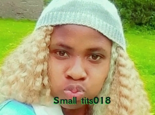 Small_tits018