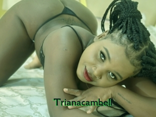 trianacambell Arabeurette