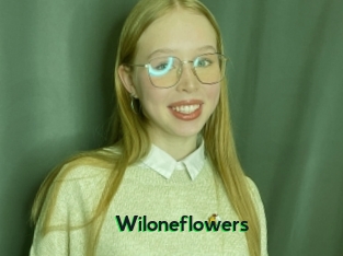 Wiloneflowers